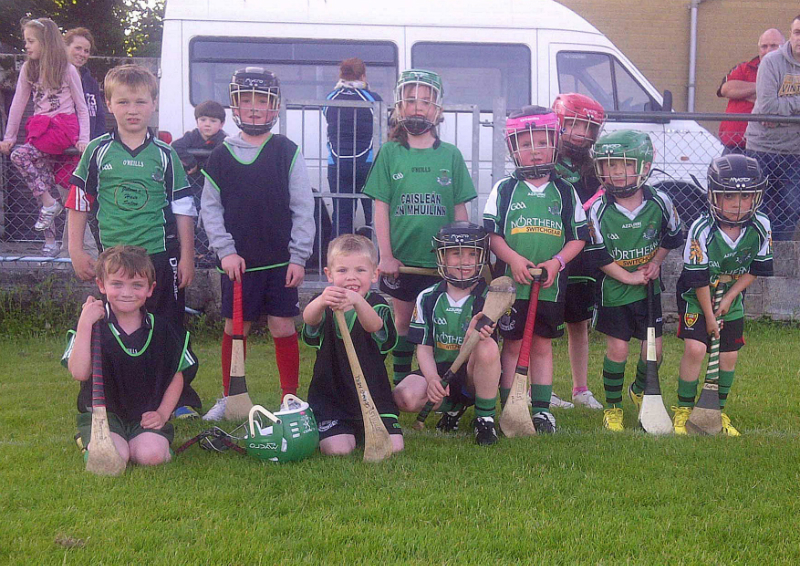 under-six-hurlers_2013